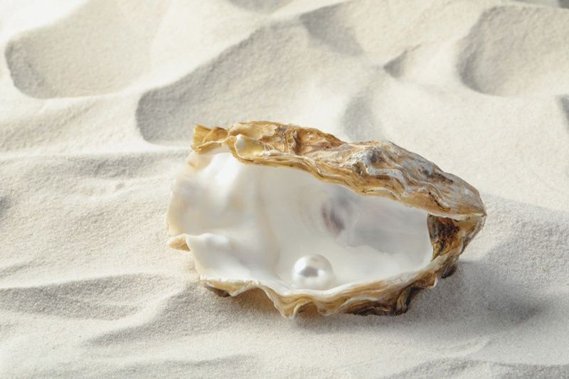 An open oyster shell holding a single pearl on white sand